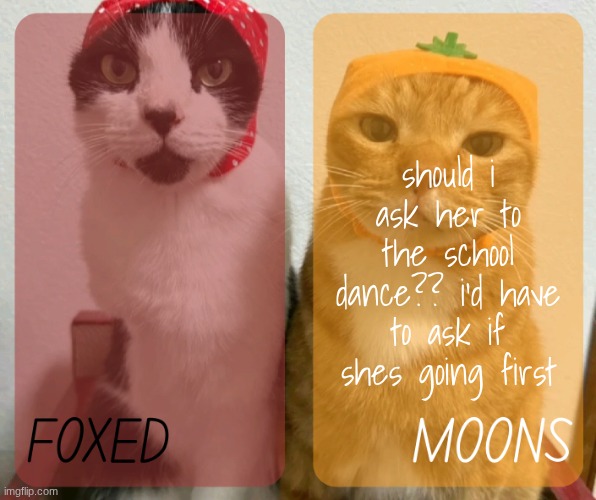 too bad my phone got taken, i'll ask her if she's going on wednesdayyy | should i ask her to the school dance?? i'd have to ask if shes going first | image tagged in foxed and moons kitty temp 2 | made w/ Imgflip meme maker