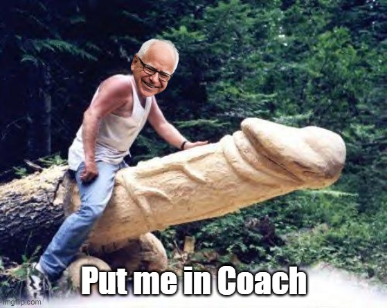 Put me in Coach | made w/ Imgflip meme maker