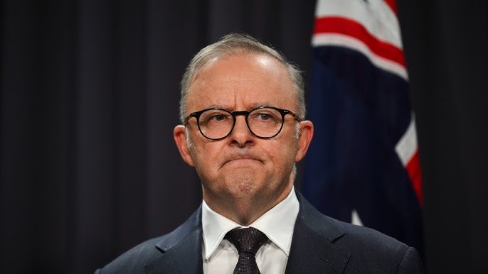 Anthony Albanese Blank Meme Template