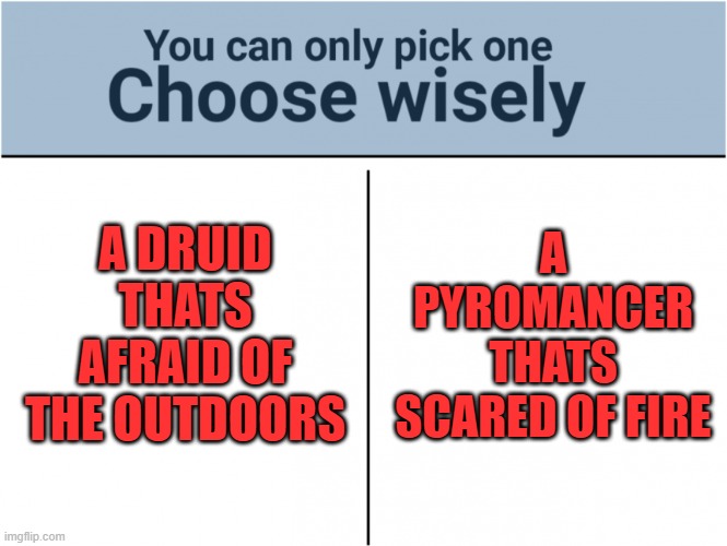 Pick a class | A DRUID THATS AFRAID OF THE OUTDOORS; A PYROMANCER THATS SCARED OF FIRE | image tagged in you can pick only one choose wisely | made w/ Imgflip meme maker