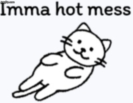Imma hot mess | image tagged in imma hot mess meme | made w/ Imgflip meme maker