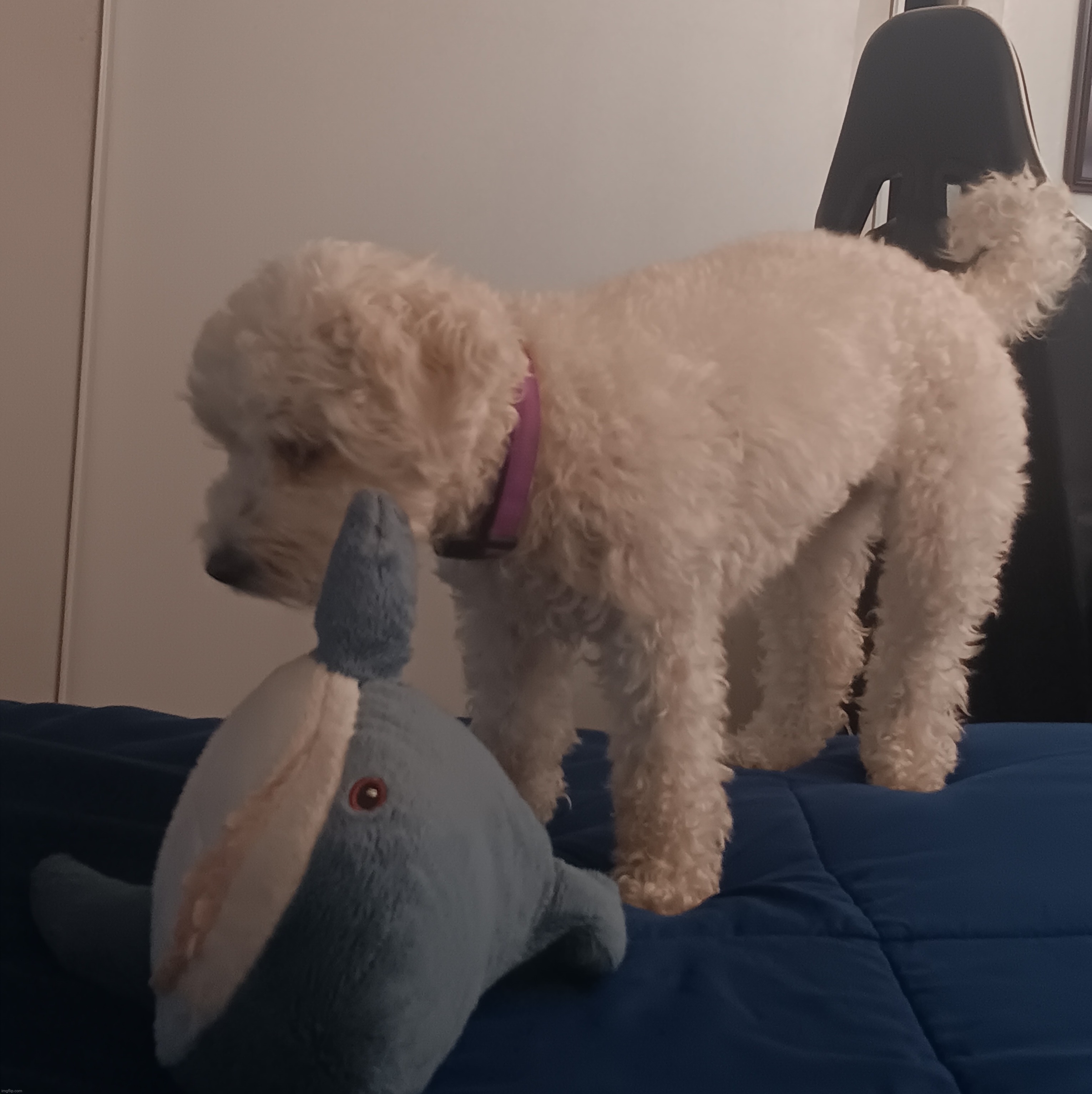 the creature | made w/ Imgflip meme maker