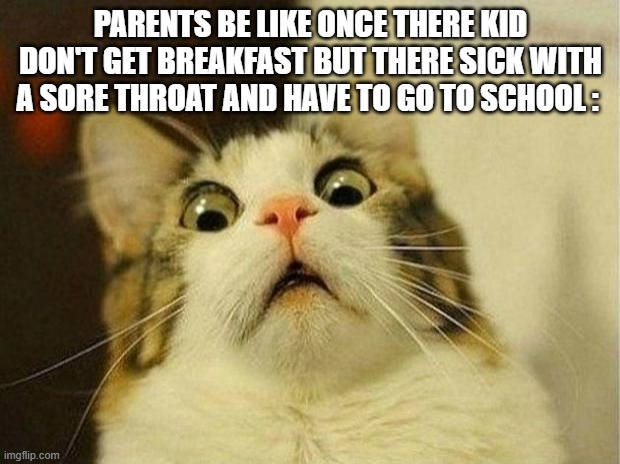 PARENTS BE LIKE ONCE THERE KID DON'T GET BREAKFAST BUT THERE SICK WITH A SORE THROAT AND HAVE TO GO TO SCHOOL : | image tagged in memes,scared cat | made w/ Imgflip meme maker