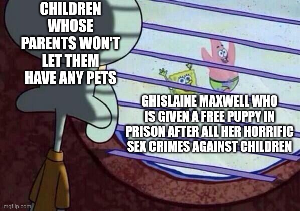 When children can't have pets but a child abusing sex criminal is given a free puppy, that is a disgusting injustice | CHILDREN WHOSE PARENTS WON'T LET THEM HAVE ANY PETS; GHISLAINE MAXWELL WHO IS GIVEN A FREE PUPPY IN PRISON AFTER ALL HER HORRIFIC SEX CRIMES AGAINST CHILDREN | image tagged in squidward window,ghislaine maxwell,pets | made w/ Imgflip meme maker