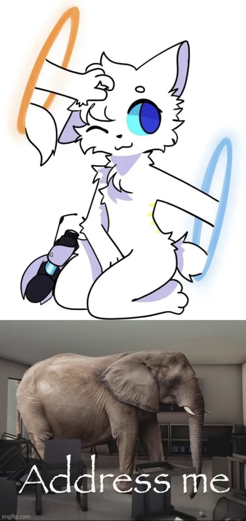 If you look at it for 10 seconds youll want to look away | image tagged in address me elephant | made w/ Imgflip meme maker