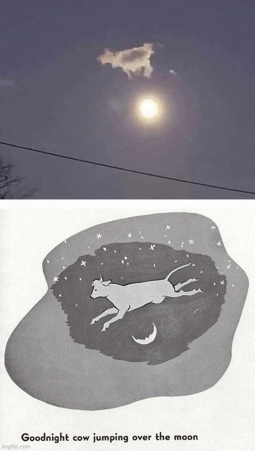 Cow cloud | image tagged in cow jumping over the moon,cloud | made w/ Imgflip meme maker