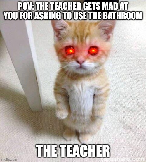 Cute Cat | POV: THE TEACHER GETS MAD AT YOU FOR ASKING TO USE THE BATHROOM; THE TEACHER | image tagged in memes,cute cat | made w/ Imgflip meme maker