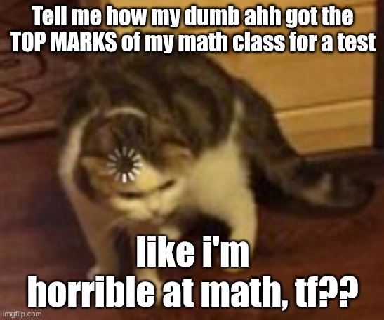 91/100, I got the best score... | Tell me how my dumb ahh got the TOP MARKS of my math class for a test; like i'm horrible at math, tf?? | image tagged in loading cat | made w/ Imgflip meme maker