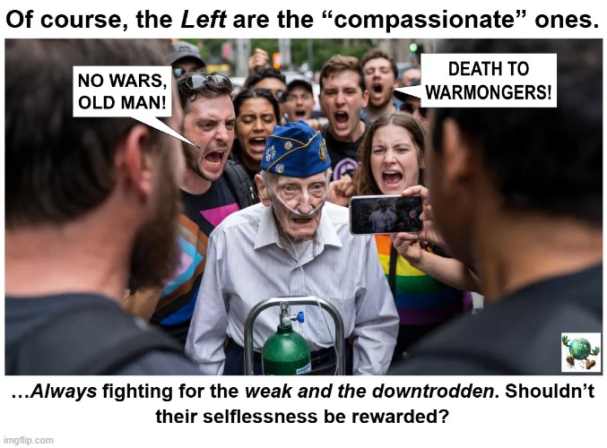 Are Democratic principles more compassionate than Republican principles? | image tagged in maga,conservative,protesters | made w/ Imgflip meme maker
