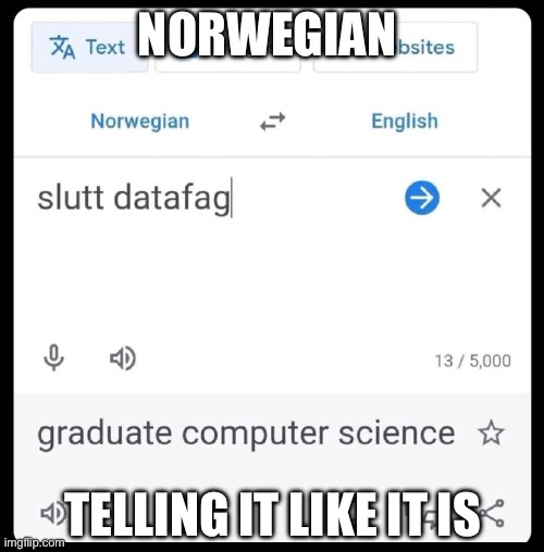 Translation | NORWEGIAN; TELLING IT LIKE IT IS | image tagged in norway,norsk,norwegian | made w/ Imgflip meme maker