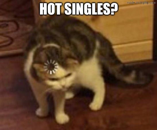 Loading cat | HOT SINGLES? | image tagged in loading cat | made w/ Imgflip meme maker