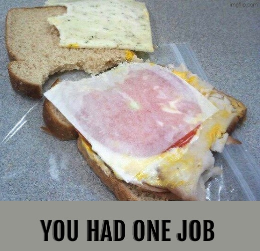 Ummm remove the paper fool! | YOU HAD ONE JOB | image tagged in you had one job,task failed successfully,sandwich,do you are have stupid,duhhh dumbass,epic fail | made w/ Imgflip meme maker