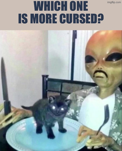 Which Is Worse? | WHICH ONE IS MORE CURSED? | image tagged in cursed images,what a terrible day to have eyes,oh no black cat,aliens,unsee juice,drink bleach | made w/ Imgflip meme maker