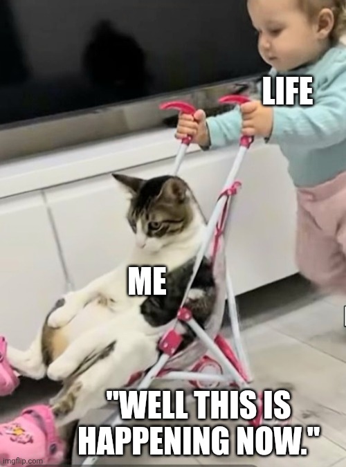 Resistance is futile. | LIFE; ME; "WELL THIS IS HAPPENING NOW." | image tagged in cat | made w/ Imgflip meme maker