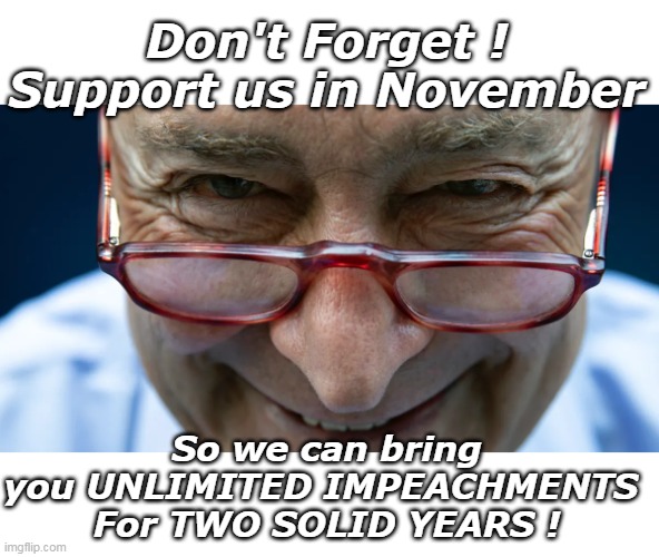 Just Working For the People | Don't Forget !
Support us in November; So we can bring you UNLIMITED IMPEACHMENTS 
For TWO SOLID YEARS ! | image tagged in schumer unlimited impeachments meme | made w/ Imgflip meme maker
