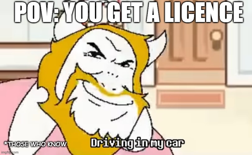 Driving In My Car | POV: YOU GET A LICENCE; *THOSE WHO KNOW | image tagged in driving in my car | made w/ Imgflip meme maker