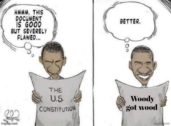 One day while Andy was masturbating… | Woody got wood | image tagged in obama fixes constitution,woody got wood,woody,toy story | made w/ Imgflip meme maker