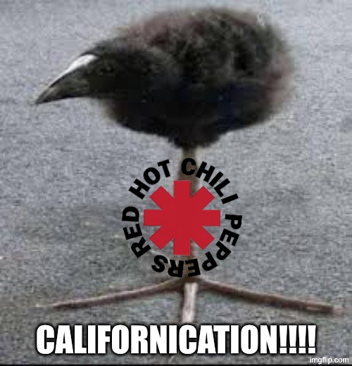 Pukeko Bird | CALIFORNICATION!!!! | image tagged in pukeko bird | made w/ Imgflip meme maker