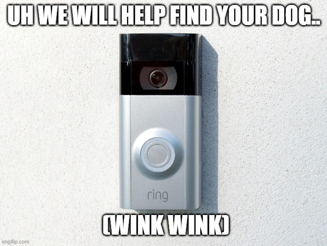 Uh we will help find Your dog.. | UH WE WILL HELP FIND YOUR DOG.. (WINK WINK) | image tagged in ring camera,funny,privacy,surveillance,dog,gestapo ring | made w/ Imgflip meme maker