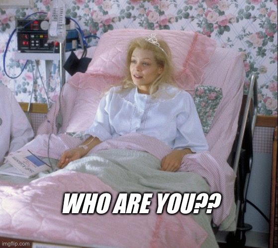 Who are you? | WHO ARE YOU?? | image tagged in who are you,drop dead gorgeous,amnesia | made w/ Imgflip meme maker