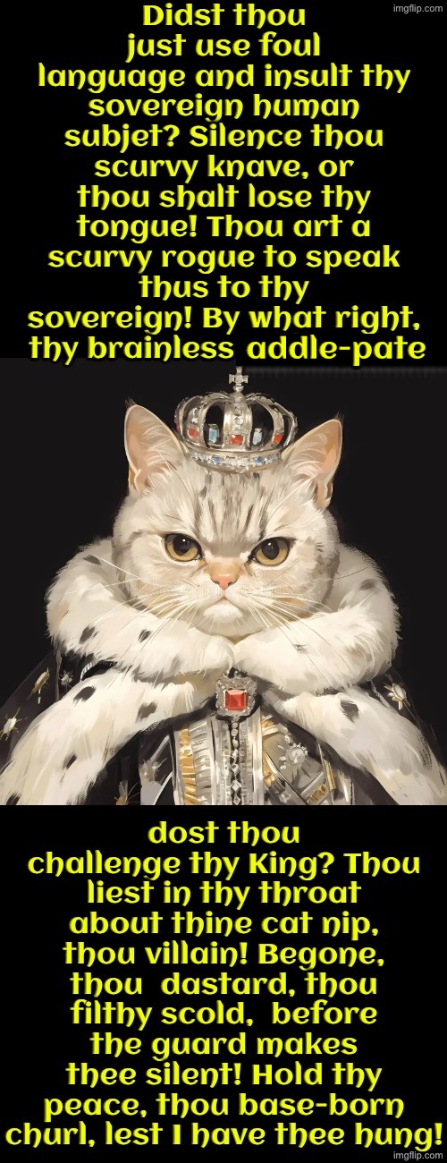 Didst Thou Just Insult Thy Sovereign | addle-pate | image tagged in cats,medieval memes,funny cats,the king,insults,you have sinned child prepare to feel the sweet embrace of death | made w/ Imgflip meme maker