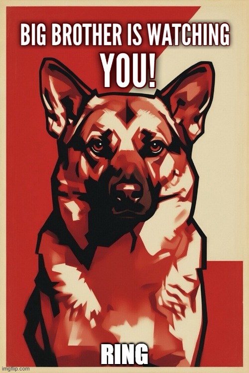 Ring camera | RING | image tagged in ring camera,funny,repost,big brother,dog,privacy | made w/ Imgflip meme maker