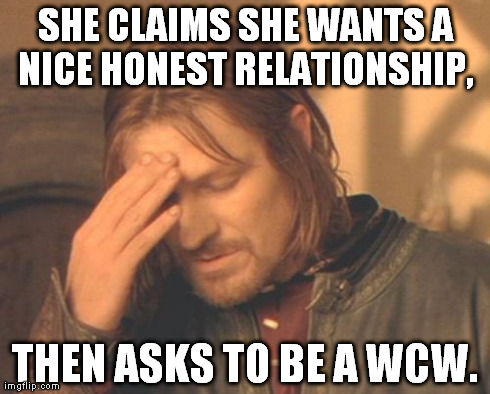 Frustrated Boromir Meme | SHE CLAIMS SHE WANTS A NICE HONEST RELATIONSHIP,  THEN ASKS TO BE A WCW. | image tagged in memes,frustrated boromir | made w/ Imgflip meme maker