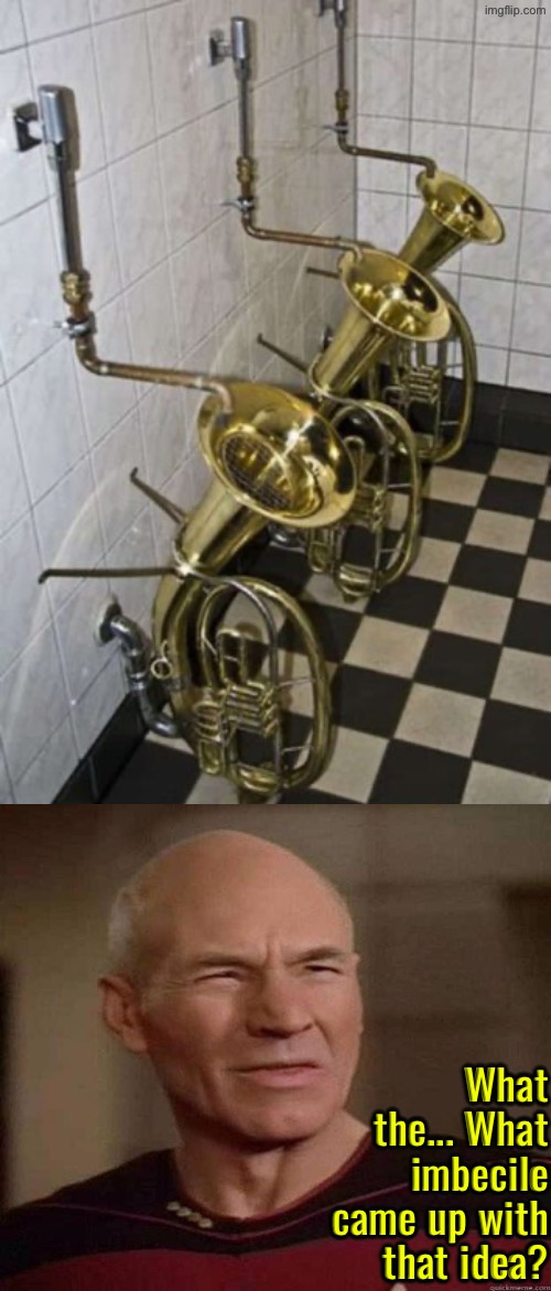 Saxophone Urinals? | What the... What imbecile came up with that idea? | image tagged in excuse me wtf,urinal,saxophone,public restrooms,picard wtf,imbecile | made w/ Imgflip meme maker