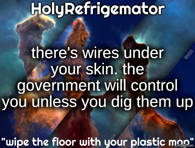 HolyRefrigemator temp | there's wires under your skin. the government will control you unless you dig them up | image tagged in holyrefrigemator temp | made w/ Imgflip meme maker