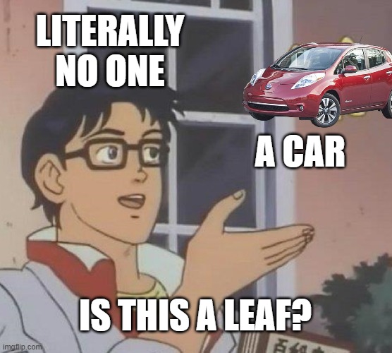 Is This A Pigeon | LITERALLY NO ONE; A CAR; IS THIS A LEAF? | image tagged in memes,is this a pigeon | made w/ Imgflip meme maker