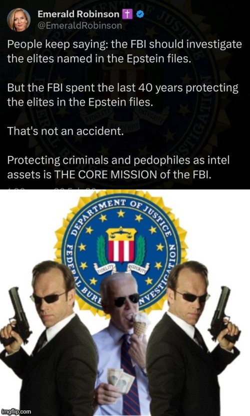 What the FBI really does | image tagged in biden's fbi,crime,protection | made w/ Imgflip meme maker
