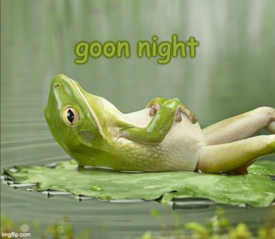 FROG GOOD NIGHT | goon night | image tagged in frog good night | made w/ Imgflip meme maker