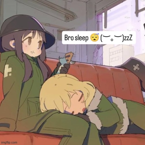 Bro sleep | image tagged in bro sleep | made w/ Imgflip meme maker