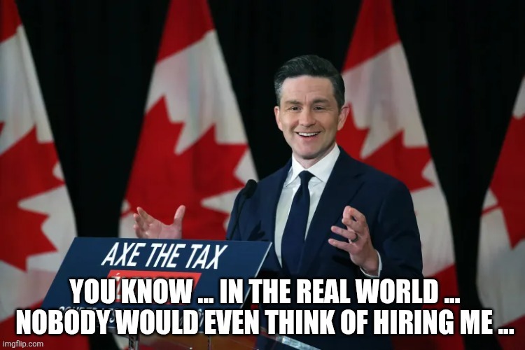 Canadian politics | image tagged in political meme | made w/ Imgflip meme maker