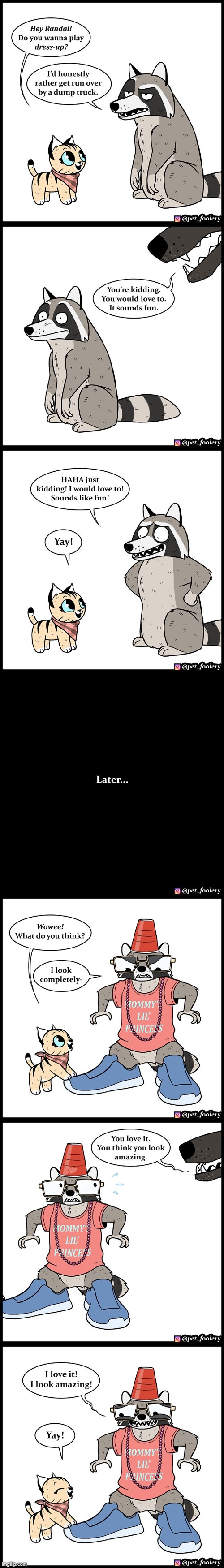 image tagged in cat,dog,racoon,dress up,fashion,stylish | made w/ Imgflip meme maker