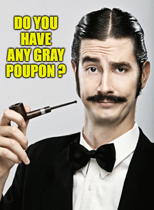 snob | DO YOU HAVE ANY GRAY POUPON ? | image tagged in snob | made w/ Imgflip meme maker