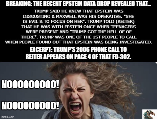 politics | NOOOOOOOOO! NOOOOOOOOO! | image tagged in political meme | made w/ Imgflip meme maker