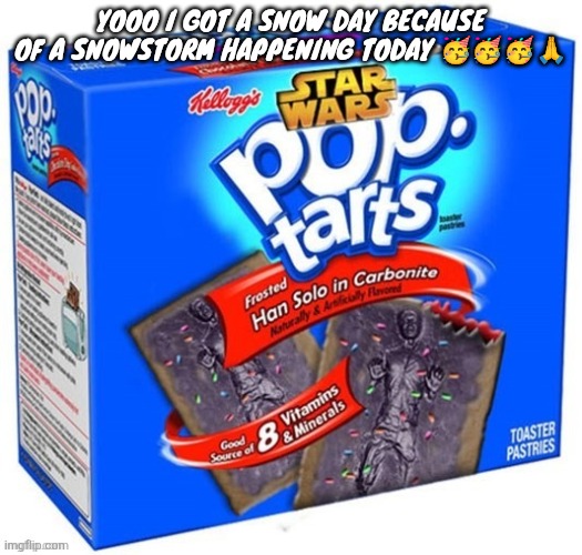 Once my bro leaves for work I'm gonna play Minecraft and work on my creative mode jungle village | YOOO I GOT A SNOW DAY BECAUSE OF A SNOWSTORM HAPPENING TODAY 🥳🥳🥳🙏 | image tagged in han solo in carbonite flavoured poptarts | made w/ Imgflip meme maker