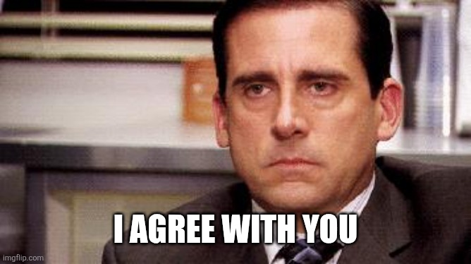 michael scott | I AGREE WITH YOU | image tagged in michael scott | made w/ Imgflip meme maker