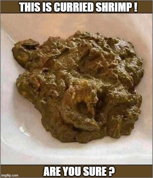 How About No ... | THIS IS CURRIED SHRIMP ! ARE YOU SURE ? | image tagged in how about no,curry,shrimp | made w/ Imgflip meme maker