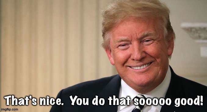 Donald when an imgflipper goes waaaaayyyyy overboard with praise | That's nice.  You do that sooooo good! | image tagged in donald getting ass-kissed | made w/ Imgflip meme maker