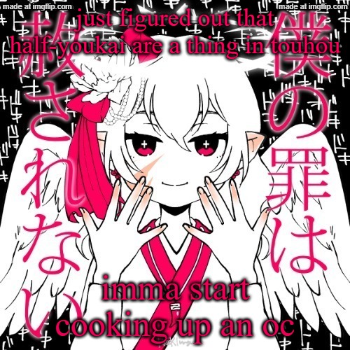 they'll be inspired by both the shadelord and radience from hollow knight to go with a sort of half-n-half theme | just figured out that half-youkai are a thing in touhou; imma start cooking up an oc | image tagged in dragnoc | made w/ Imgflip meme maker