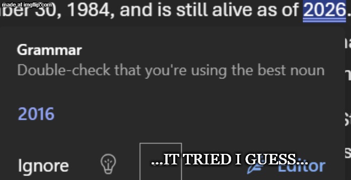 Thanks word :/ | ...IT TRIED I GUESS... | image tagged in why,microsoft,microsoft word,microsoft office,macrohard-onfire,editor | made w/ Imgflip meme maker