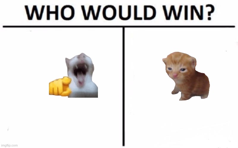 cat | image tagged in memes,who would win | made w/ Imgflip meme maker