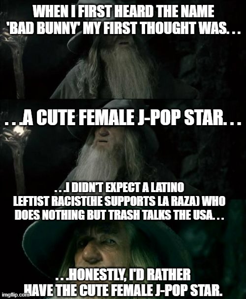 Superbowl halftime show would've been a whole lot better. | WHEN I FIRST HEARD THE NAME 'BAD BUNNY' MY FIRST THOUGHT WAS. . . . . .A CUTE FEMALE J-POP STAR. . . . . .I DIDN'T EXPECT A LATINO LEFTIST RACIST(HE SUPPORTS LA RAZA) WHO DOES NOTHING BUT TRASH TALKS THE USA. . . . . .HONESTLY, I'D RATHER HAVE THE CUTE FEMALE J-POP STAR. | image tagged in memes,confused gandalf,politics,political humor | made w/ Imgflip meme maker