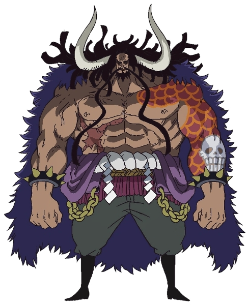 Kaido Blank Meme Template