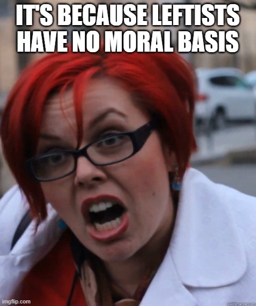 Feminist Face | IT'S BECAUSE LEFTISTS HAVE NO MORAL BASIS | image tagged in feminist face | made w/ Imgflip meme maker