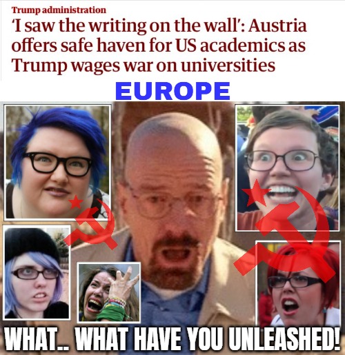 Given at least Scandinavia's scientific standard, we can prob handle a few, but... | WHAT.. WHAT HAVE YOU UNLEASHED! | image tagged in sjws,science,woke,politics,walter white | made w/ Imgflip meme maker