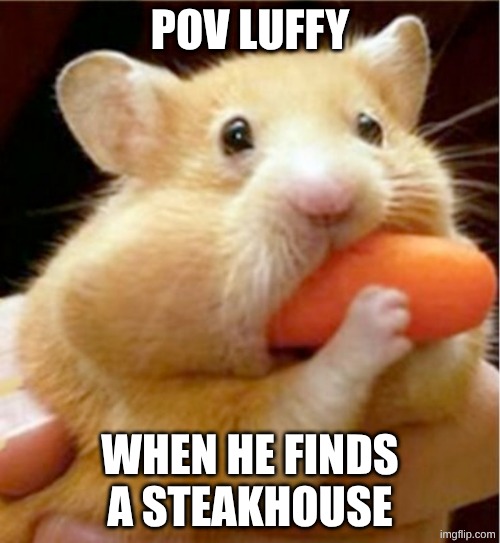 Luffy hamster | POV LUFFY; WHEN HE FINDS A STEAKHOUSE | image tagged in hamster eats carrot mouthful | made w/ Imgflip meme maker