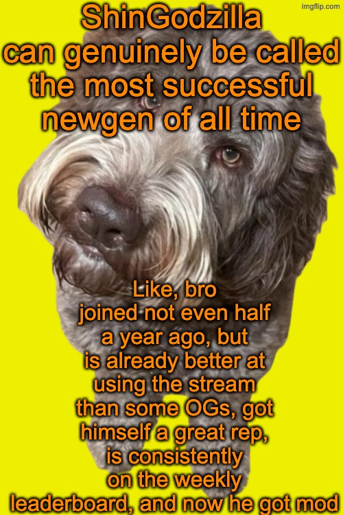 And he deserves all of it | ShinGodzilla can genuinely be called the most successful newgen of all time; Like, bro joined not even half a year ago, but is already better at using the stream than some OGs, got himself a great rep, is consistently on the weekly leaderboard, and now he got mod | image tagged in northers dog transparent | made w/ Imgflip meme maker